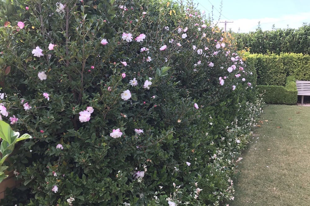 Photo of Outdoor in Sea Lake