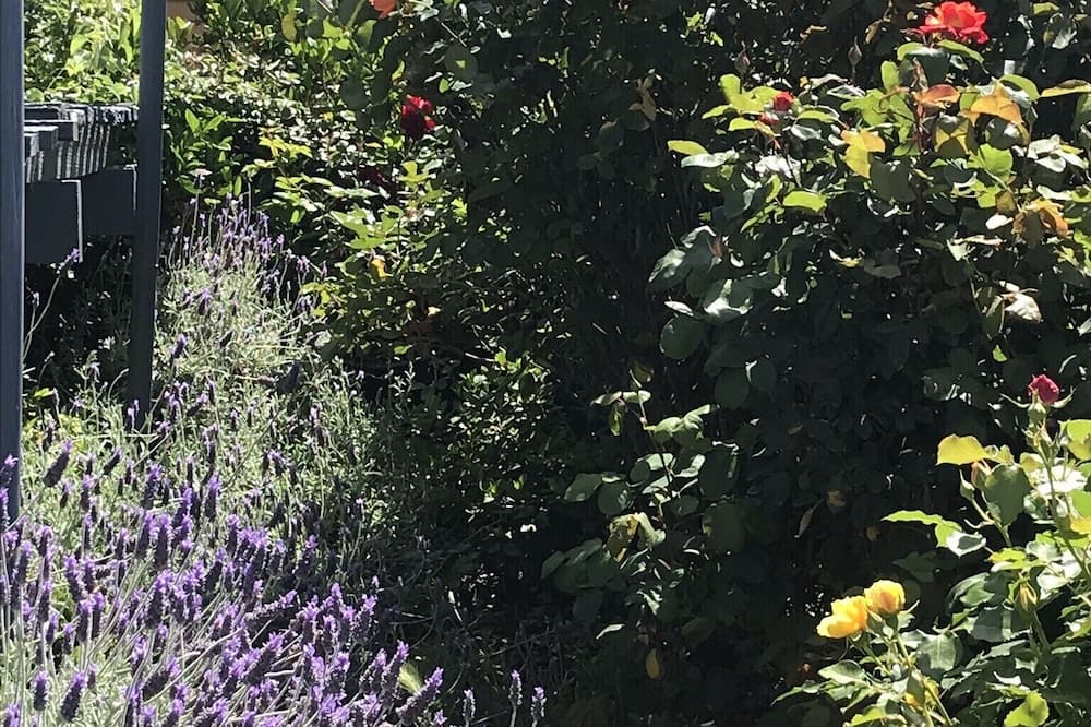 Photo of Outdoor in Sea Lake