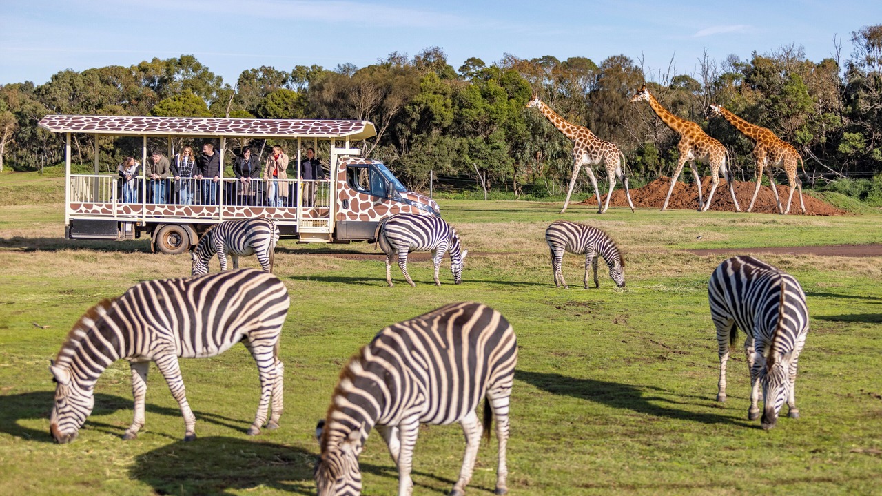 Photo of Others in Werribee