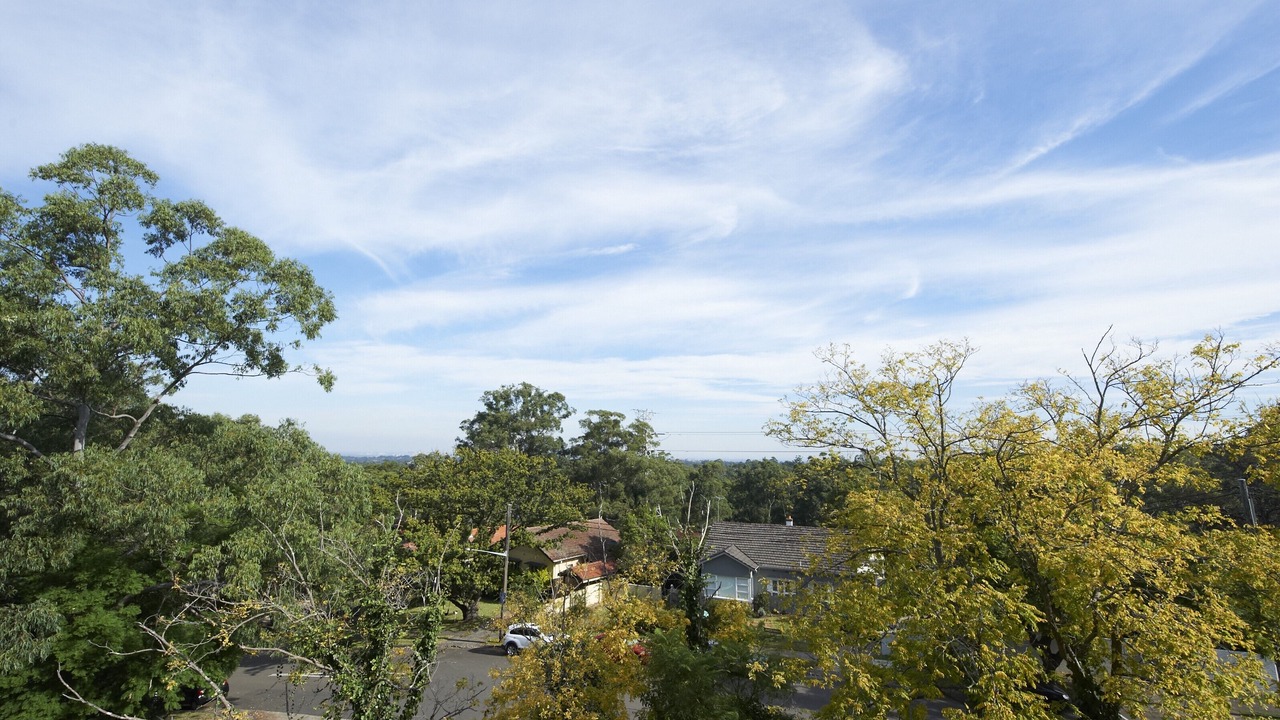 Photo of Others in Pennant Hills