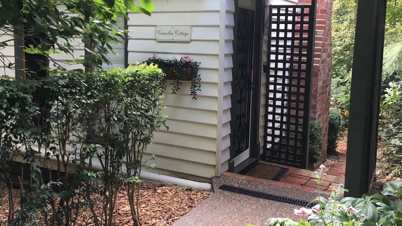 Photo of Outdoor in Sassafras