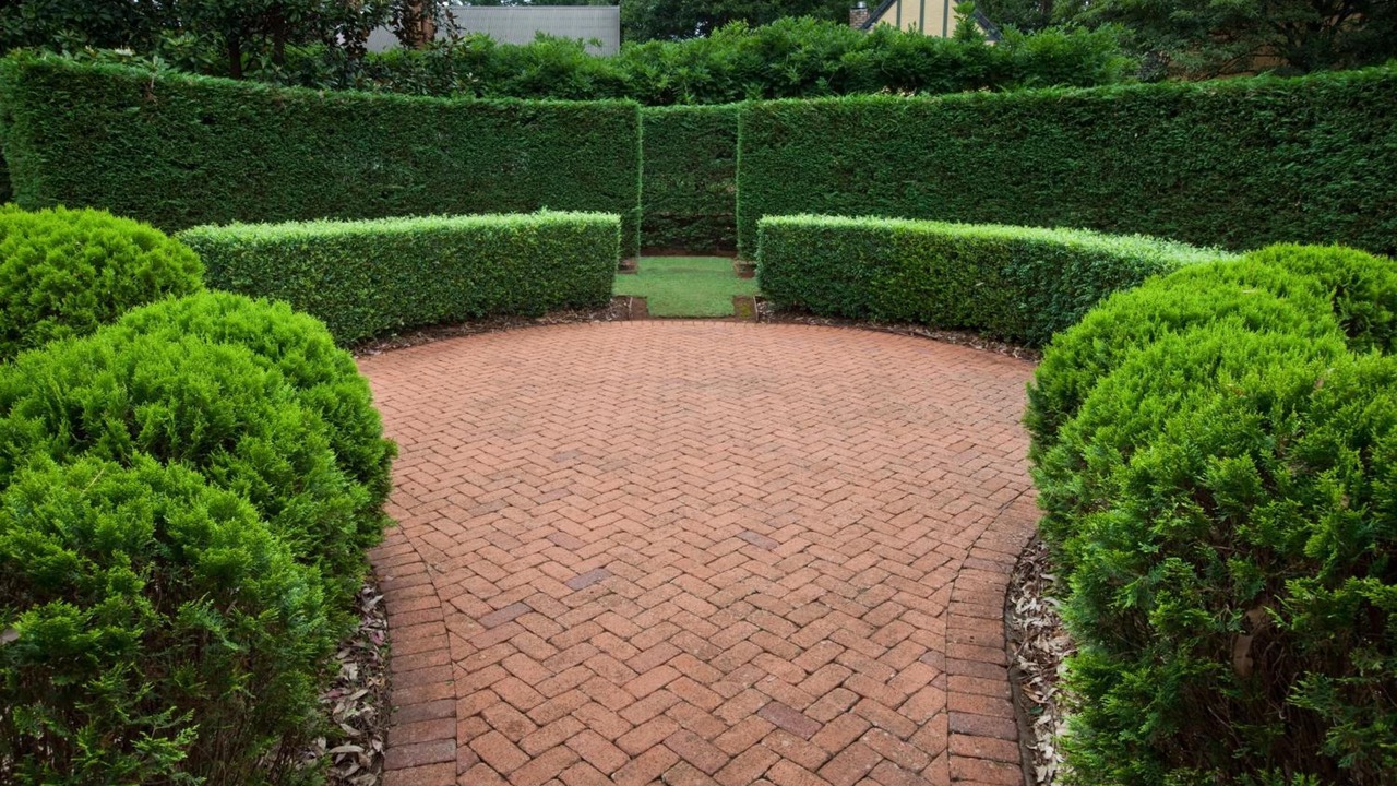 Photo of Outdoor in North Tamborine