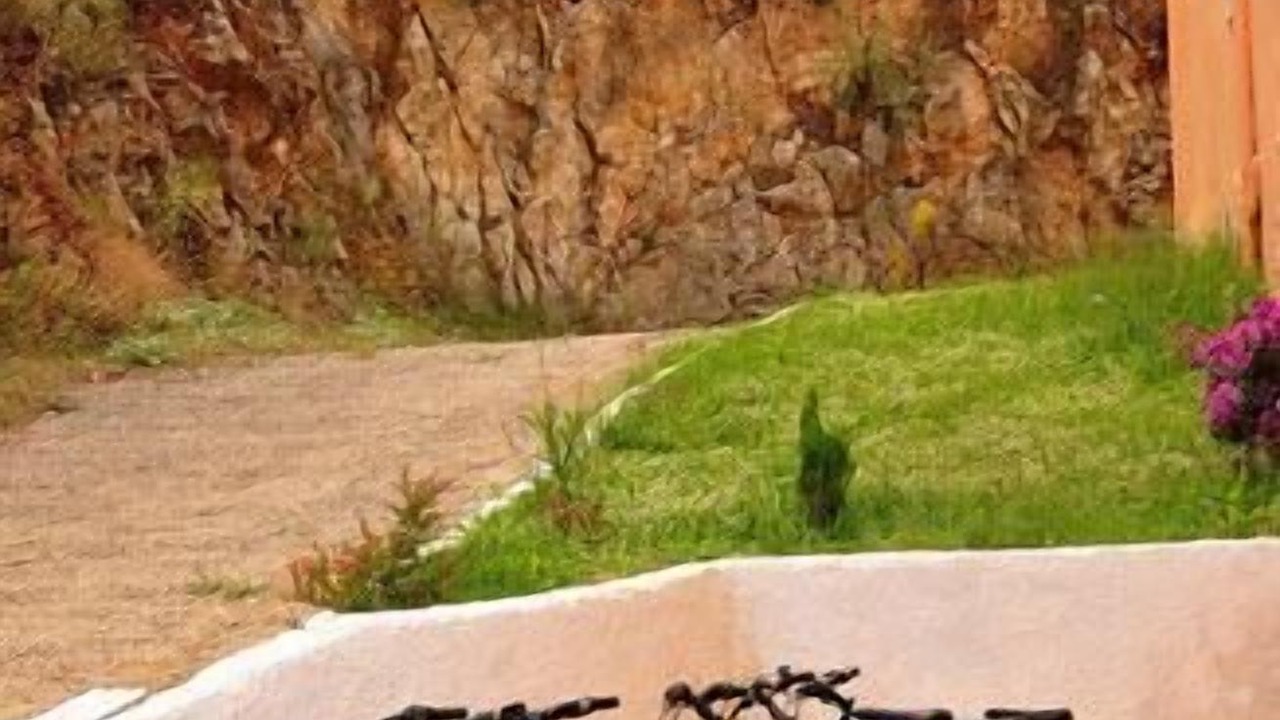Photo of Outdoor in Frinion