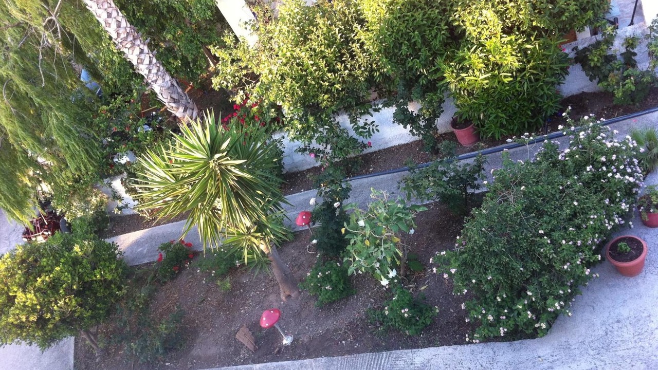 Photo of Outdoor in Lambi