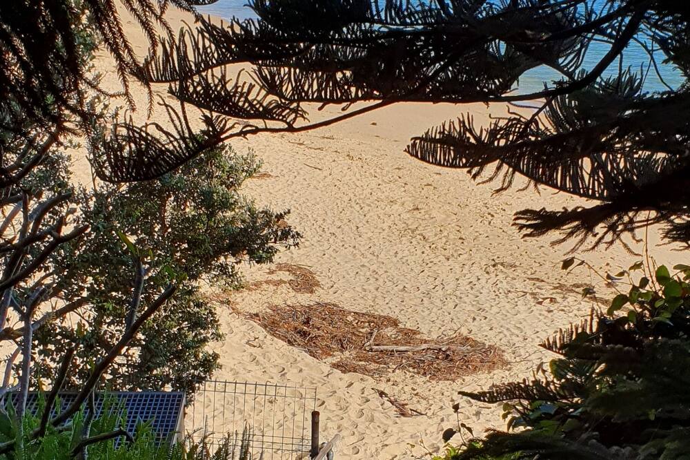 Photo of Others in Bundeena