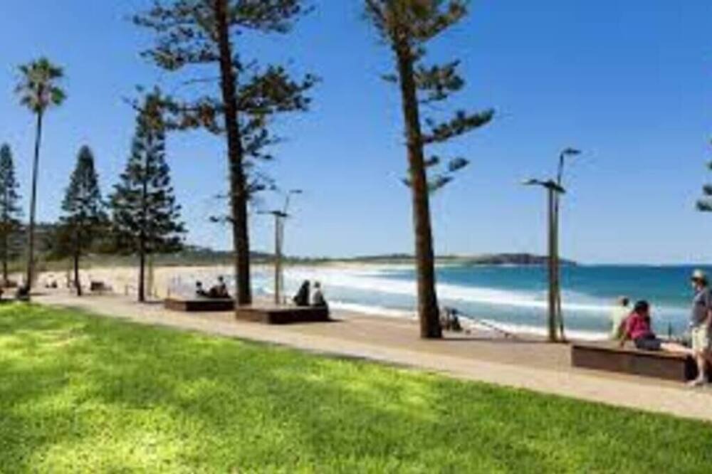 Photo of Others in Dee Why