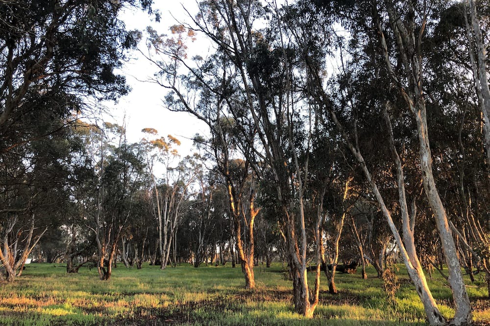 Photo of Outdoor in Frankland River