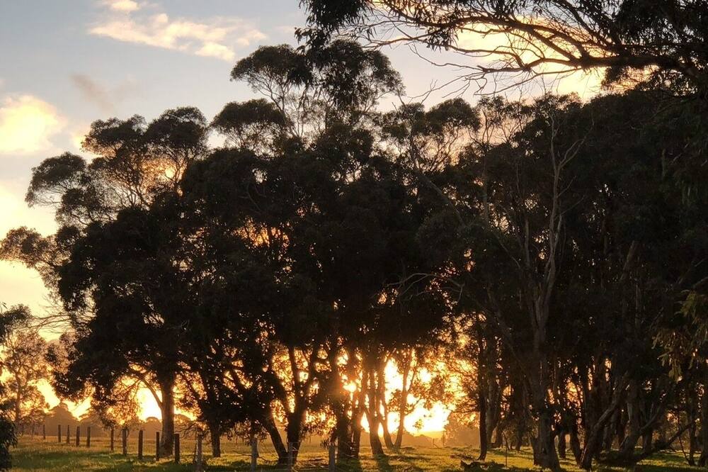 Photo of Outdoor in Frankland River