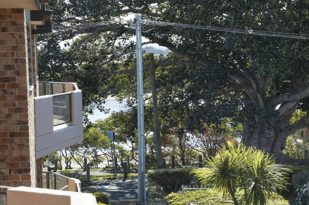 Photo of Others in Forster