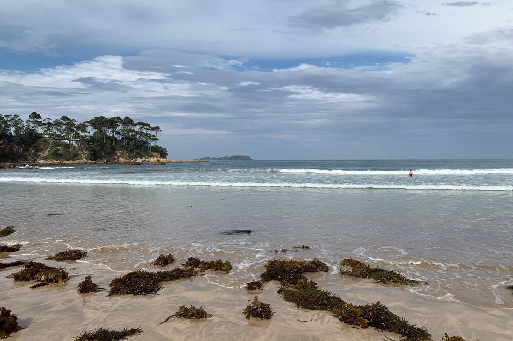 Photo of Others in Denhams Beach