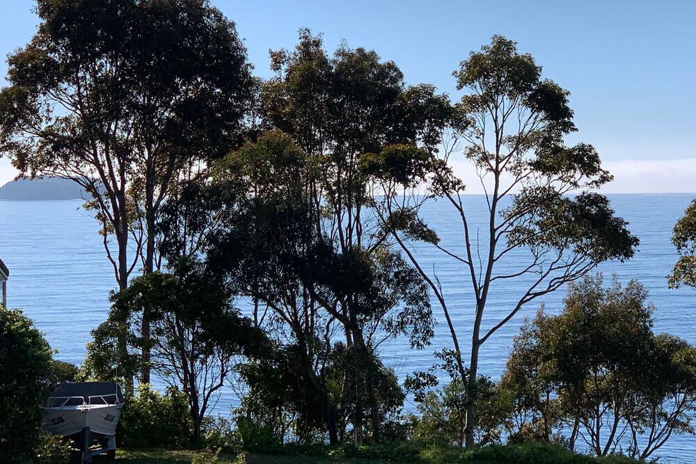 Photo of Outdoor in Denhams Beach
