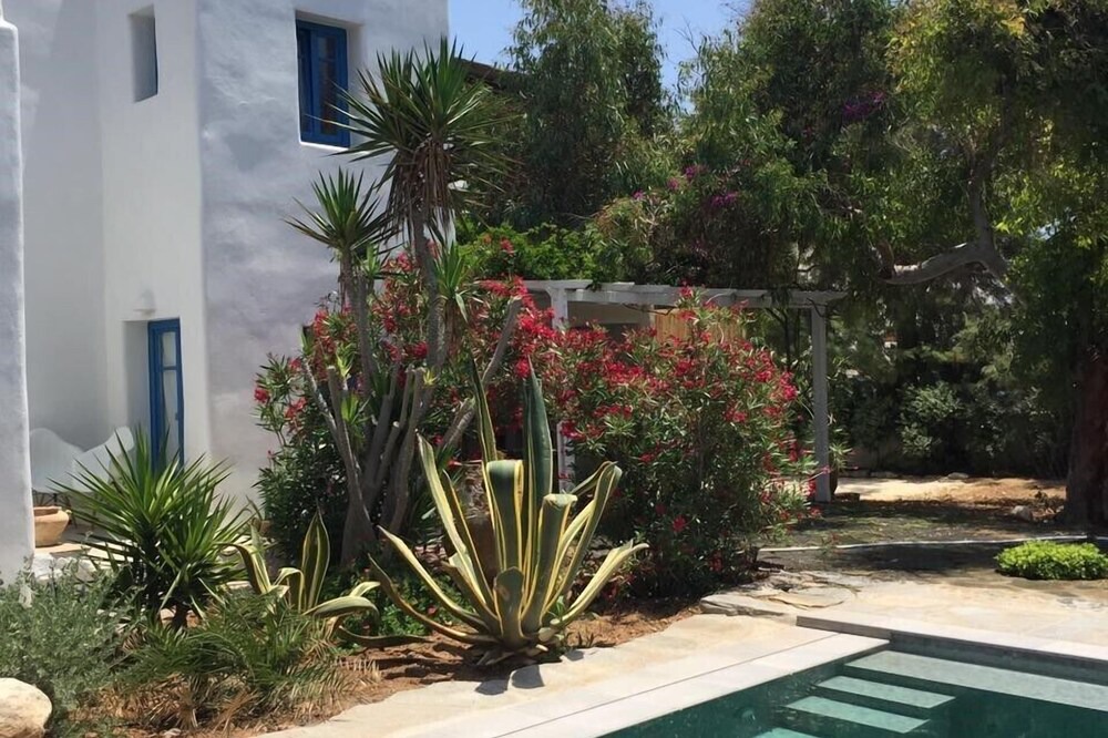 Photo of Outdoor in Pounta