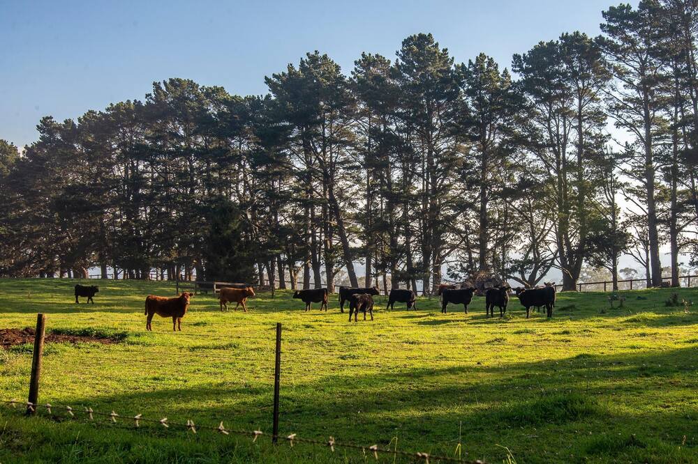 Photo of Others in Wildes Meadow