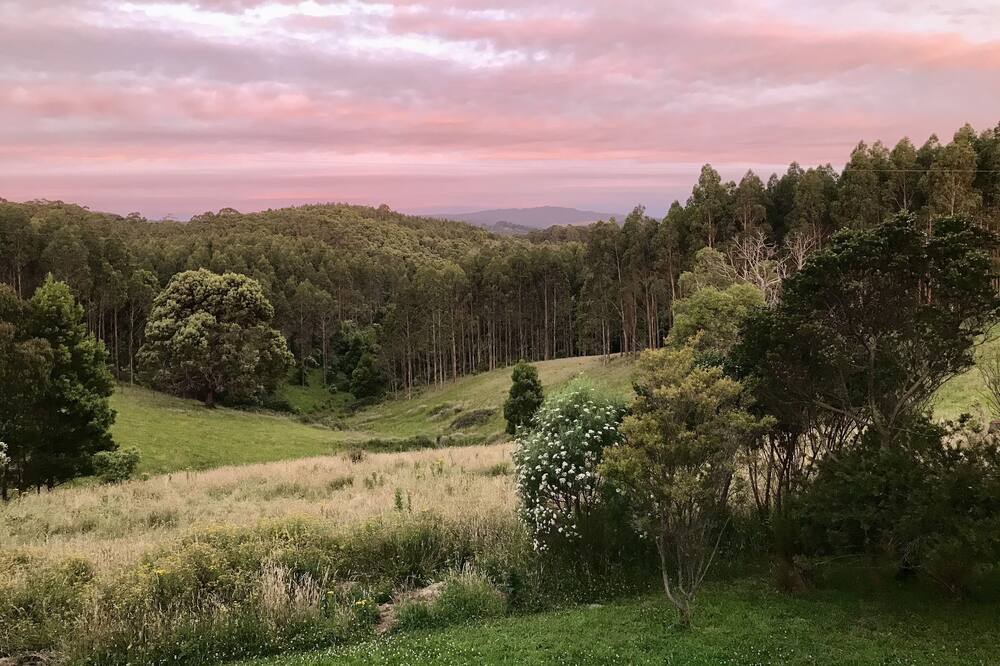 Photo of Outdoor in Foster North
