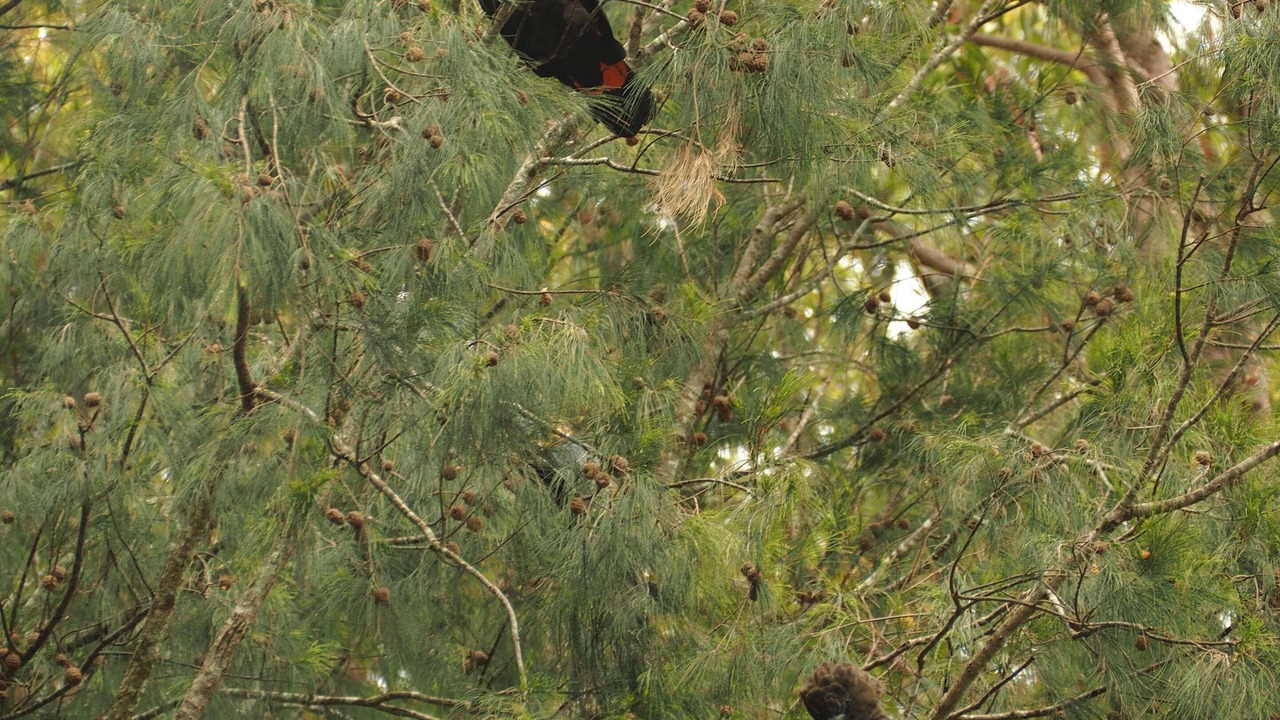 Photo of Outdoor in Bar Point