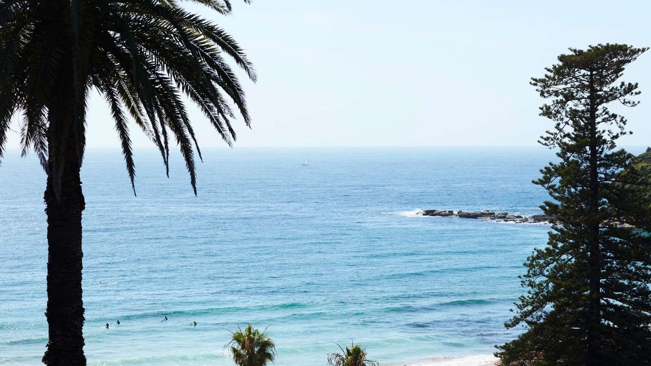 Photo of Others in Palm Beach