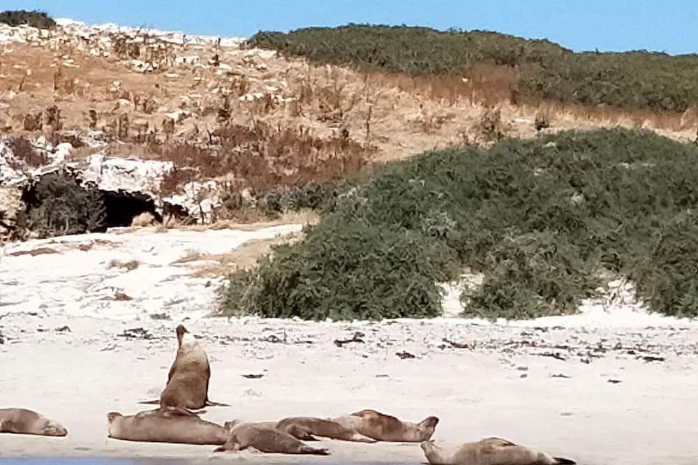 Photo of Others in Safety Bay