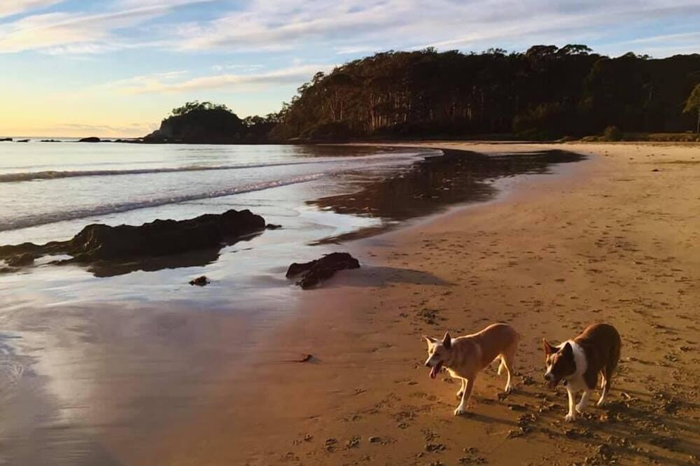 Photo of Others in Surf Beach
