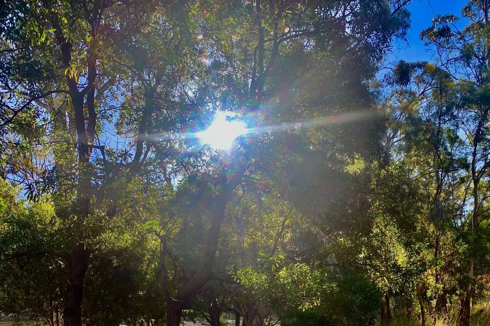 Photo of Outdoor in Acton Park