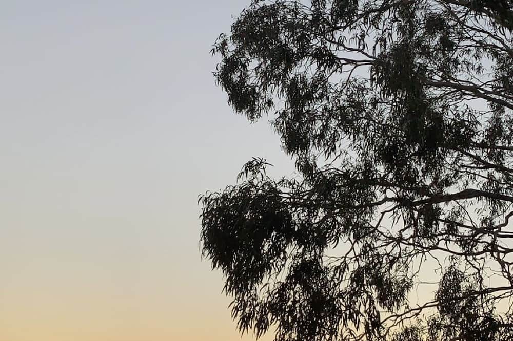 Photo of Outdoor in Kew