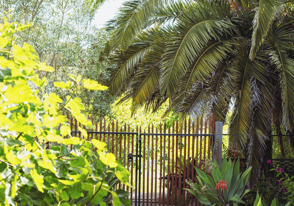 Photo of Outdoor in Jan Juc