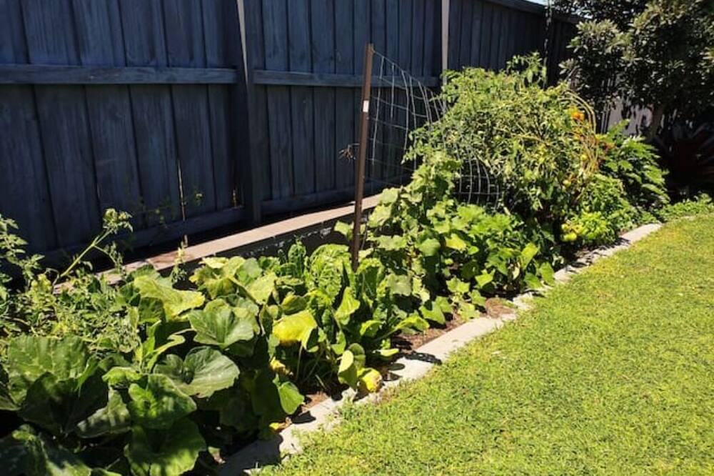 Photo of Outdoor in Gillieston Heights
