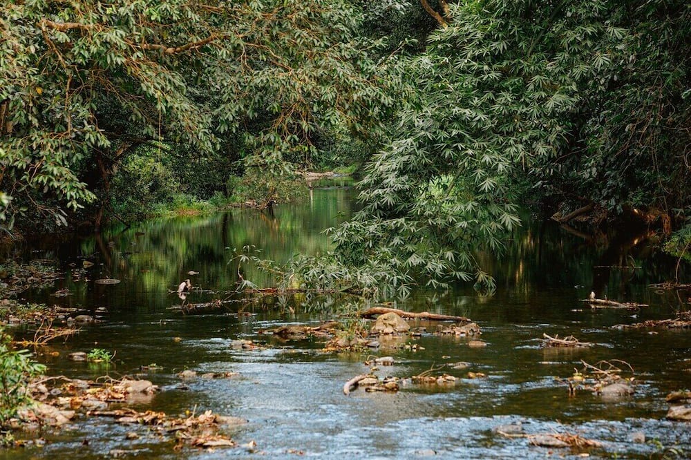 Photo of Outdoor in Mowbray