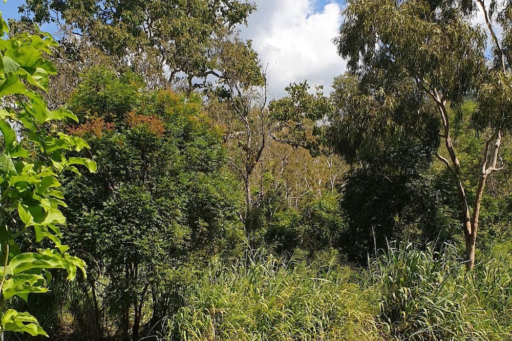 Photo of Outdoor in Woodwark