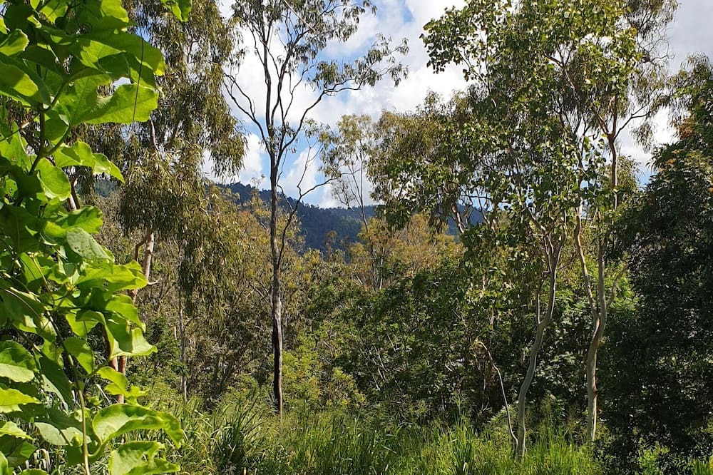 Photo of Outdoor in Woodwark