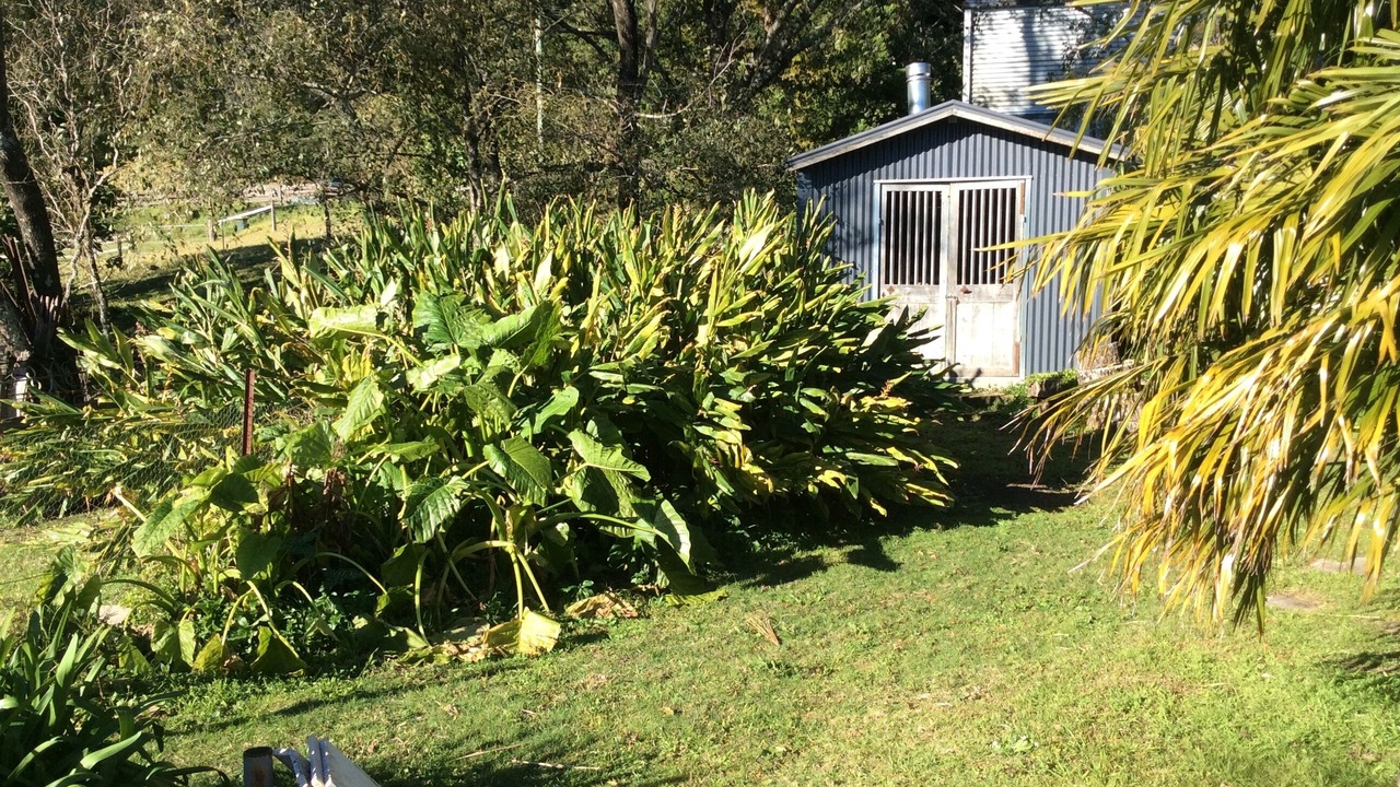 Photo of Outdoor in Woodhill