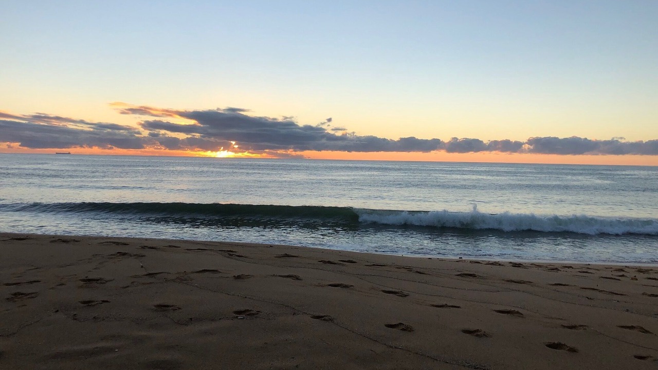 Photo of Others in Macmasters Beach