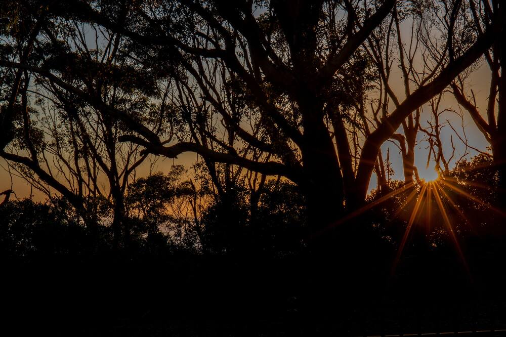 Photo of Outdoor in Bateau Bay