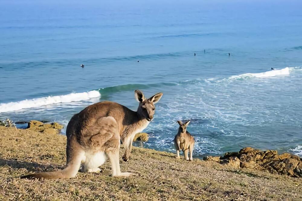 Photo of Others in Emerald Beach