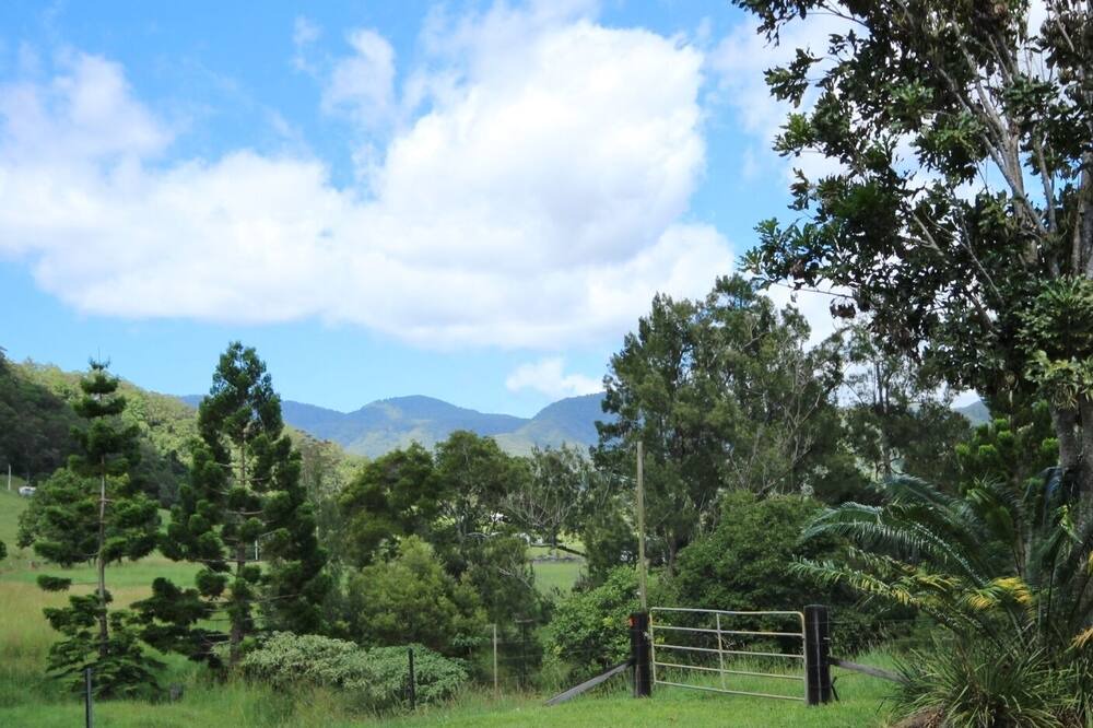 Photo of Outdoor in Upper Orara
