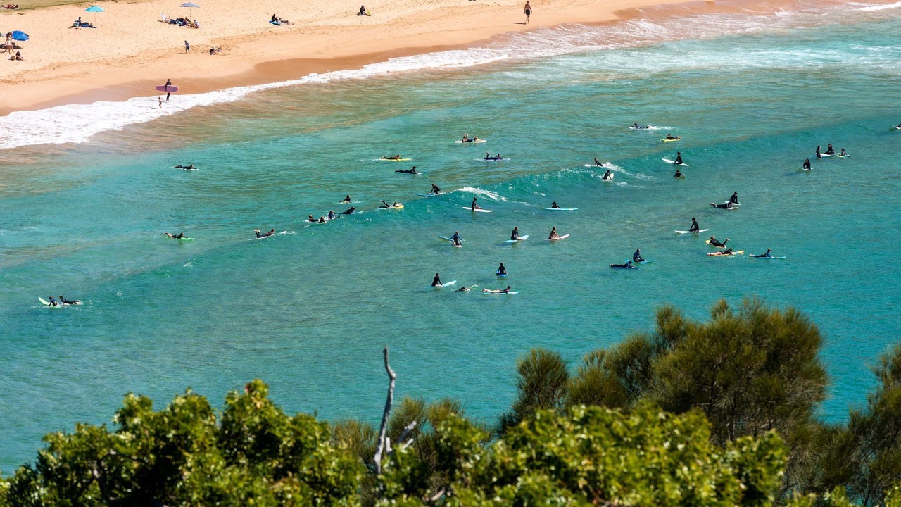 Photo of Others in Palm Beach