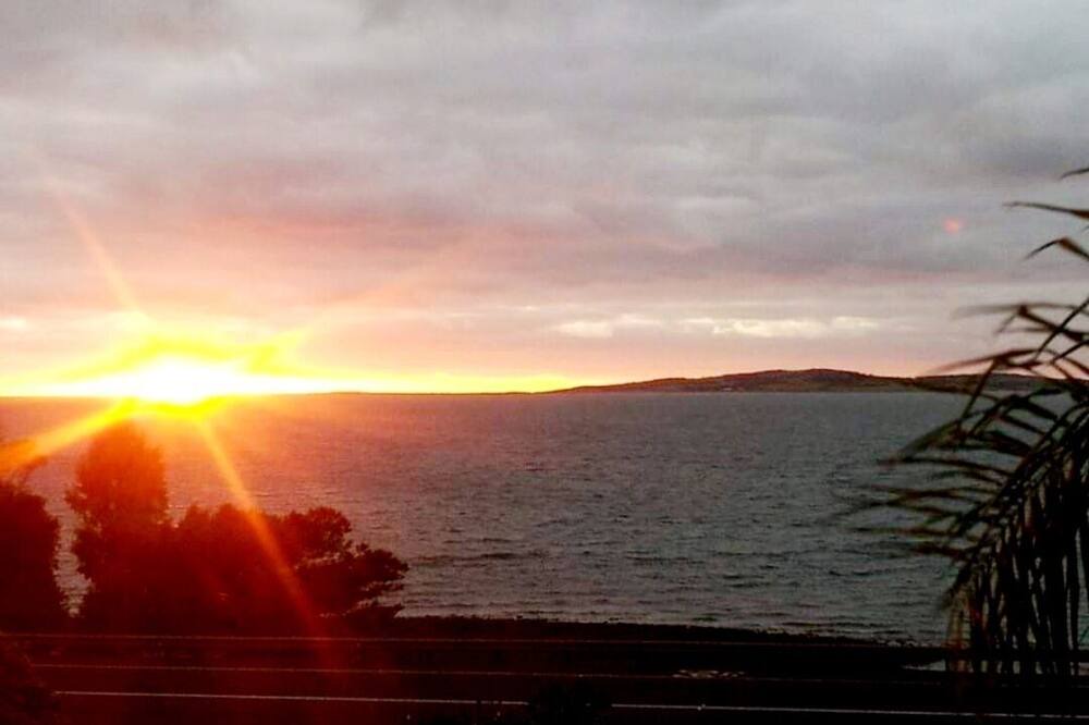 Photo of Others in Port Lincoln