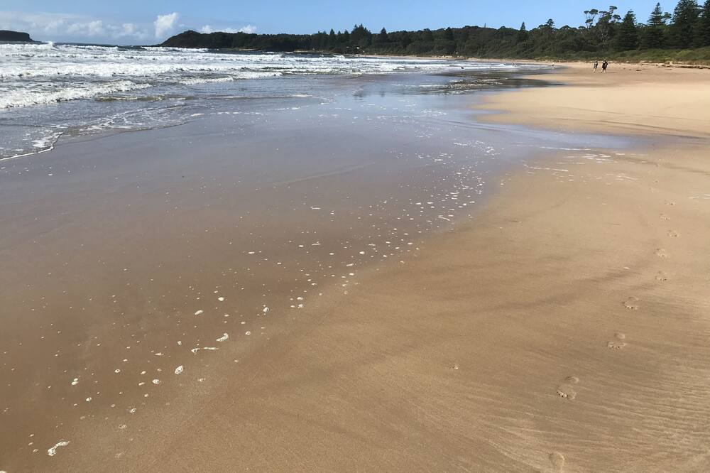 Photo of Others in South Durras