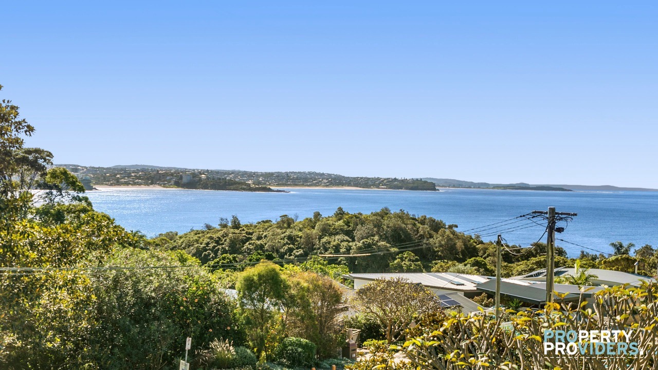 Photo of Others in Manly