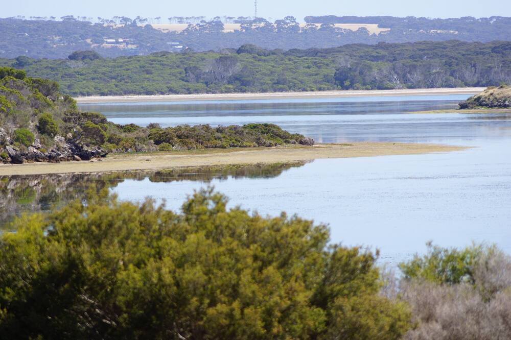 Photo of Others in Pelican Lagoon