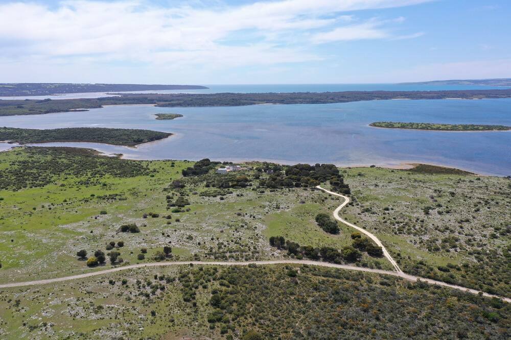 Photo of Others in Pelican Lagoon