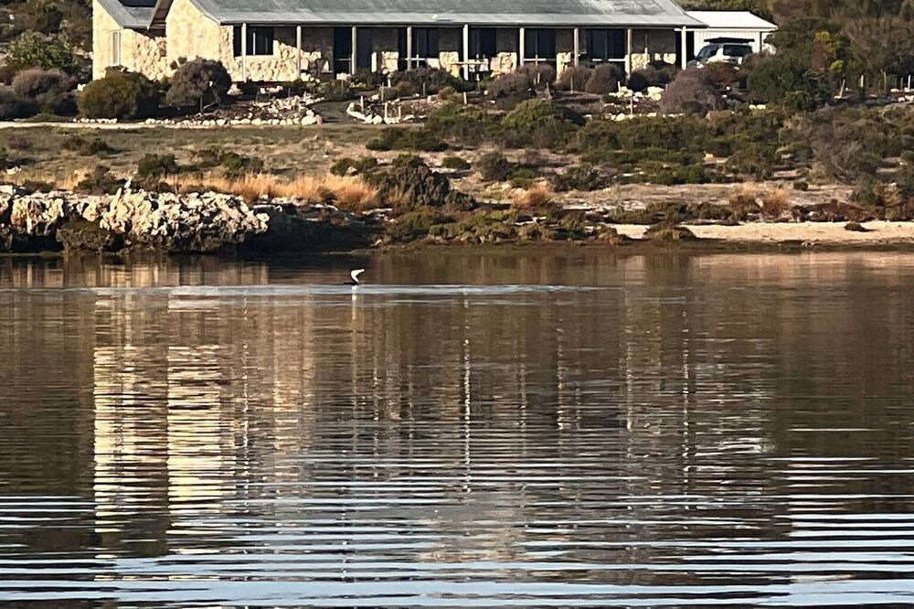 Photo of Others in Pelican Lagoon