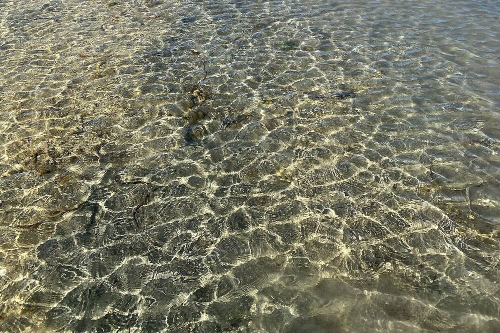Photo of Others in Pelican Lagoon