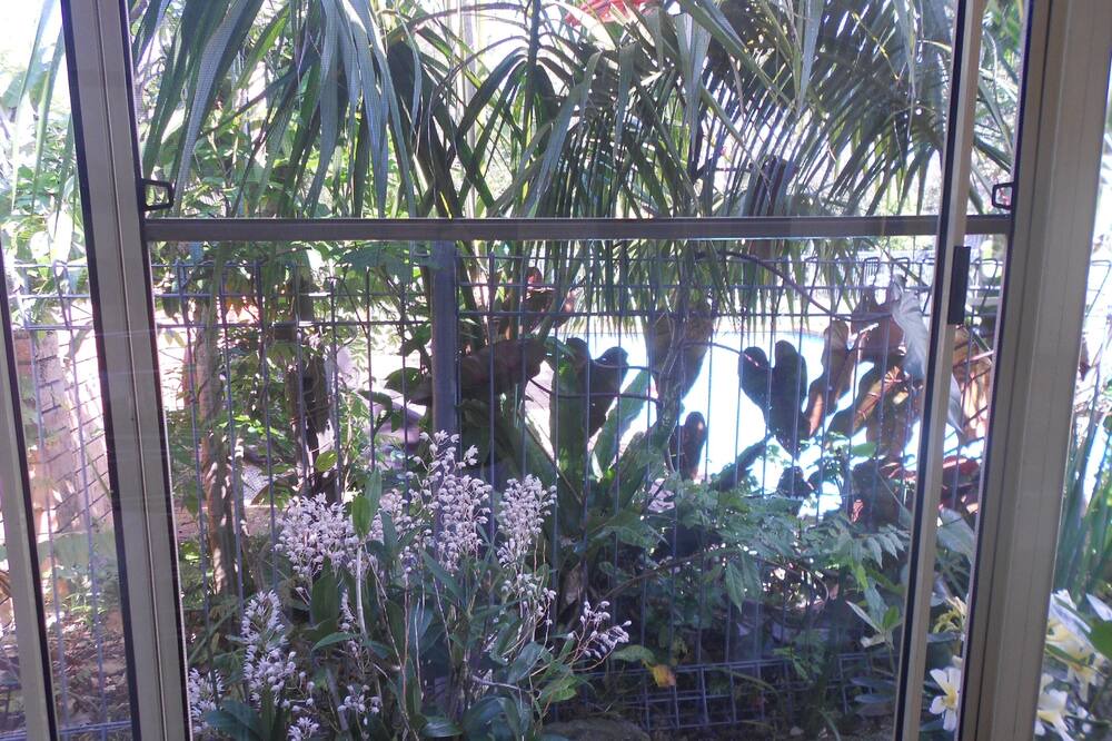 Photo of Patio Balcony in Freshwater