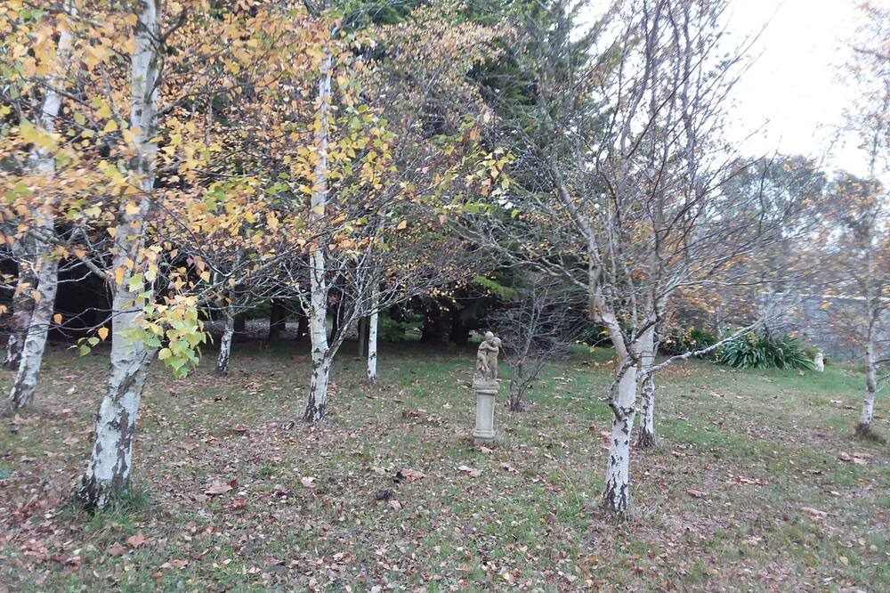 Photo of Others in Woodend North