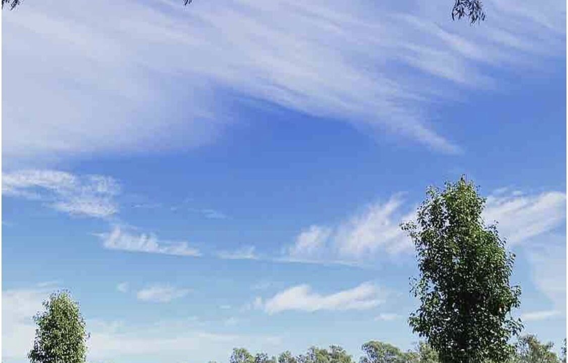 Photo of Others in Shepparton South