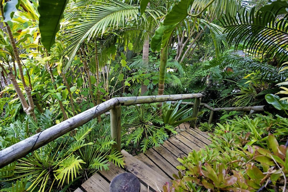 Photo of Outdoor in Currumbin