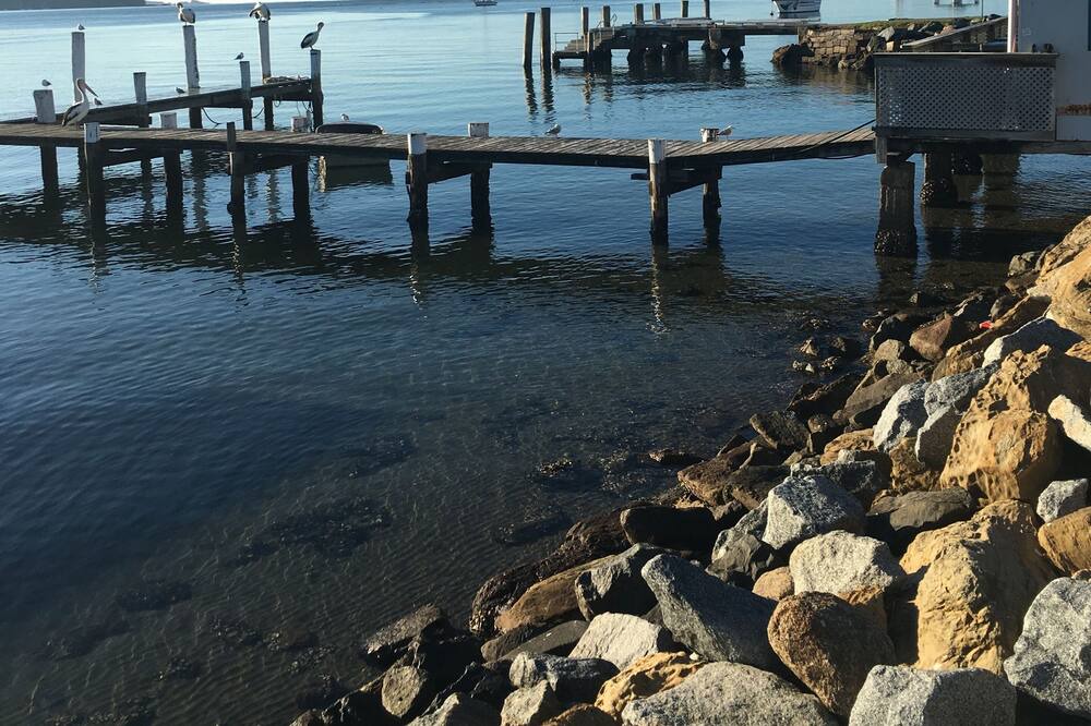 Photo of Others in Batehaven
