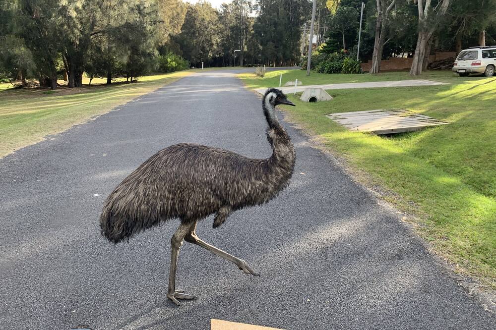 Photo of Others in Potato Point
