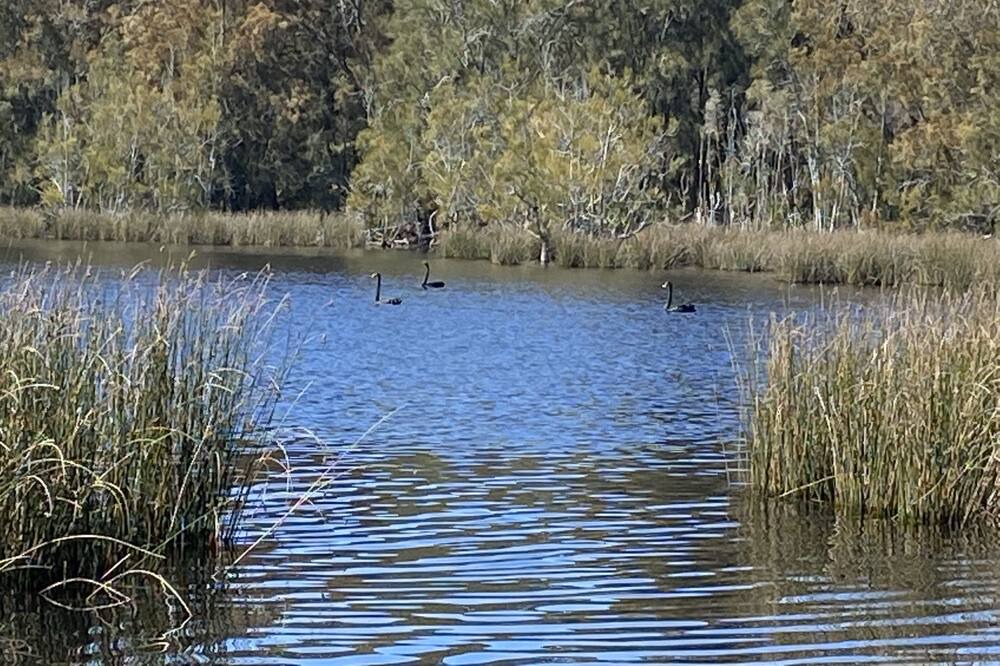 Photo of Outdoor in Potato Point