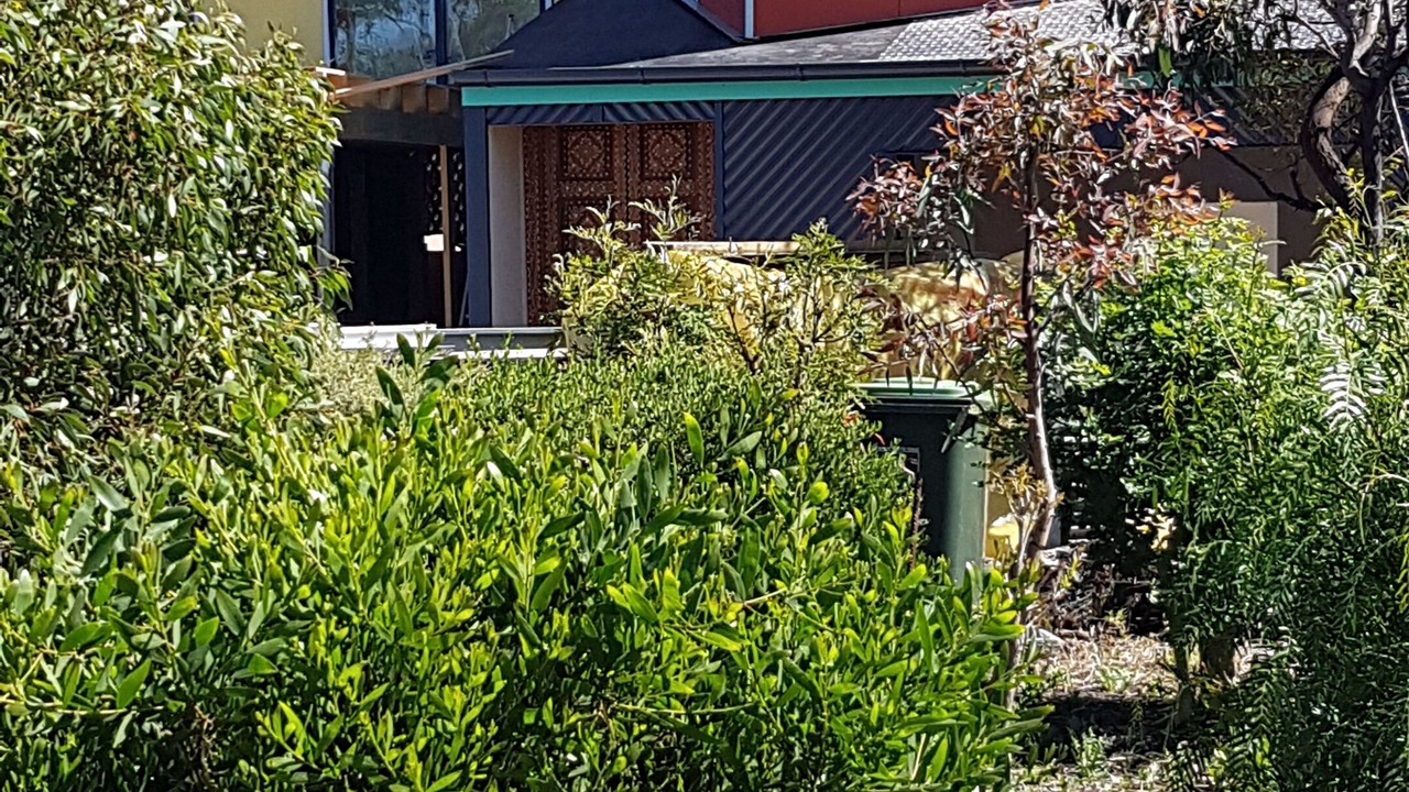 Photo of Outdoor in Aldinga